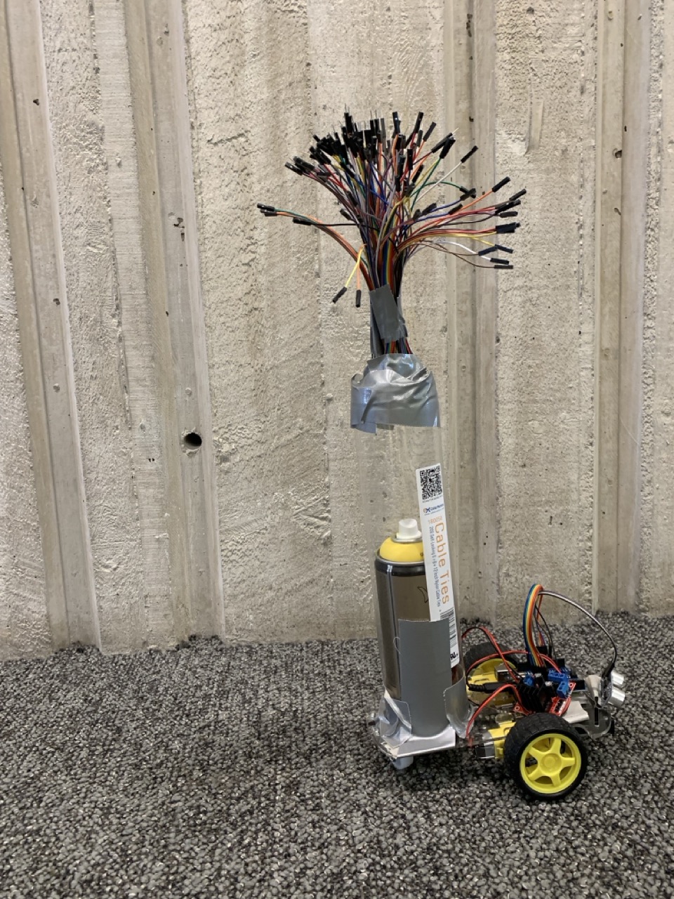 Botany Bots - Process 4